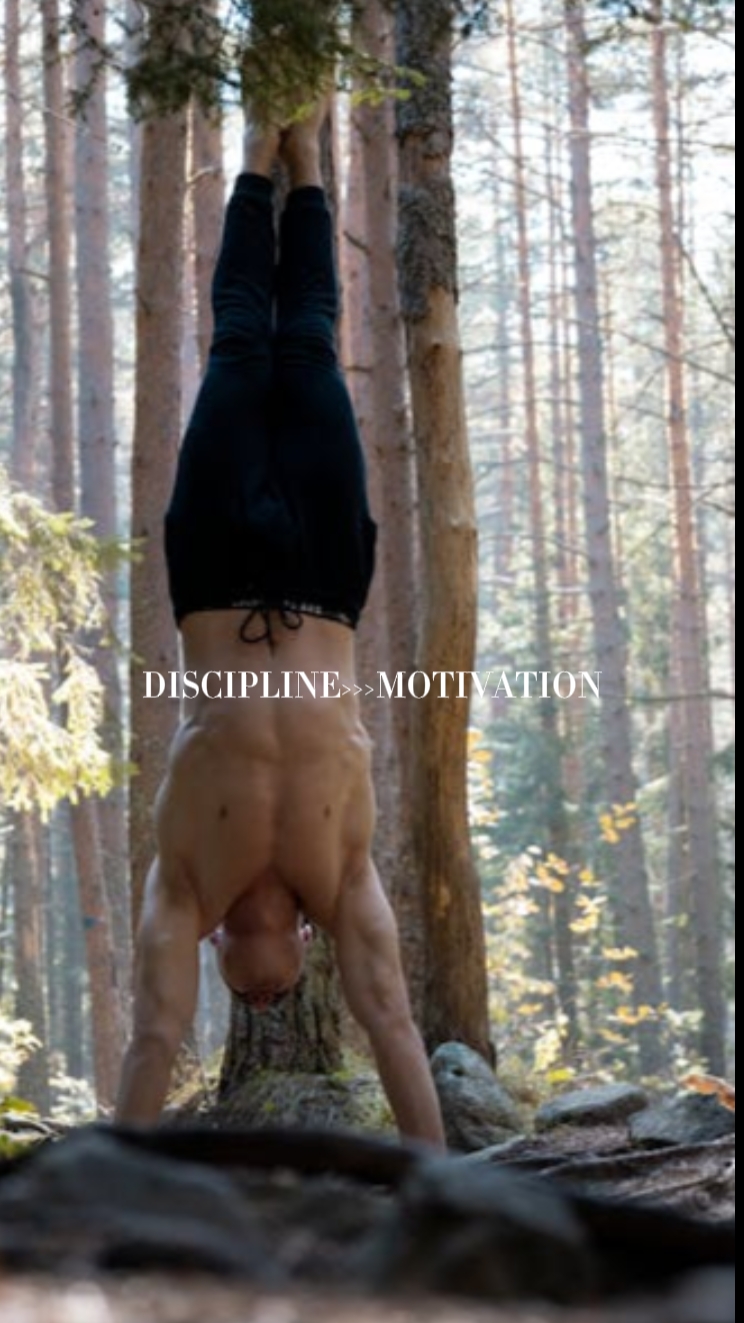 Discipline>Motivaton