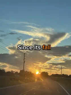 Since its fall 🙌🏻