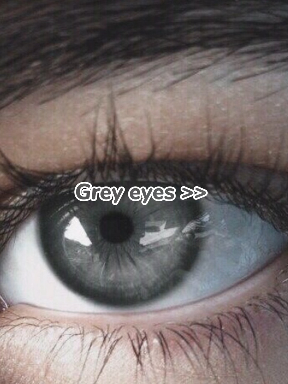 Grey eyes >> 