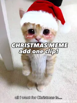ALL I WANT FOR XMAS