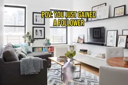 POV: You Got A Follo