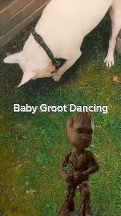 Baby Groot Dancing