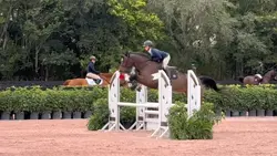 Poca airlines ✈️