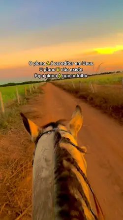 Ensima do cavalo 🐴😍