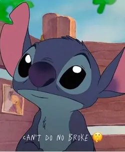 FloBeef Mix II STICH