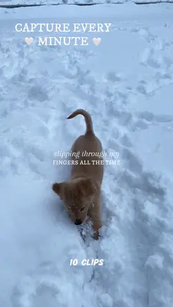 capture every minute