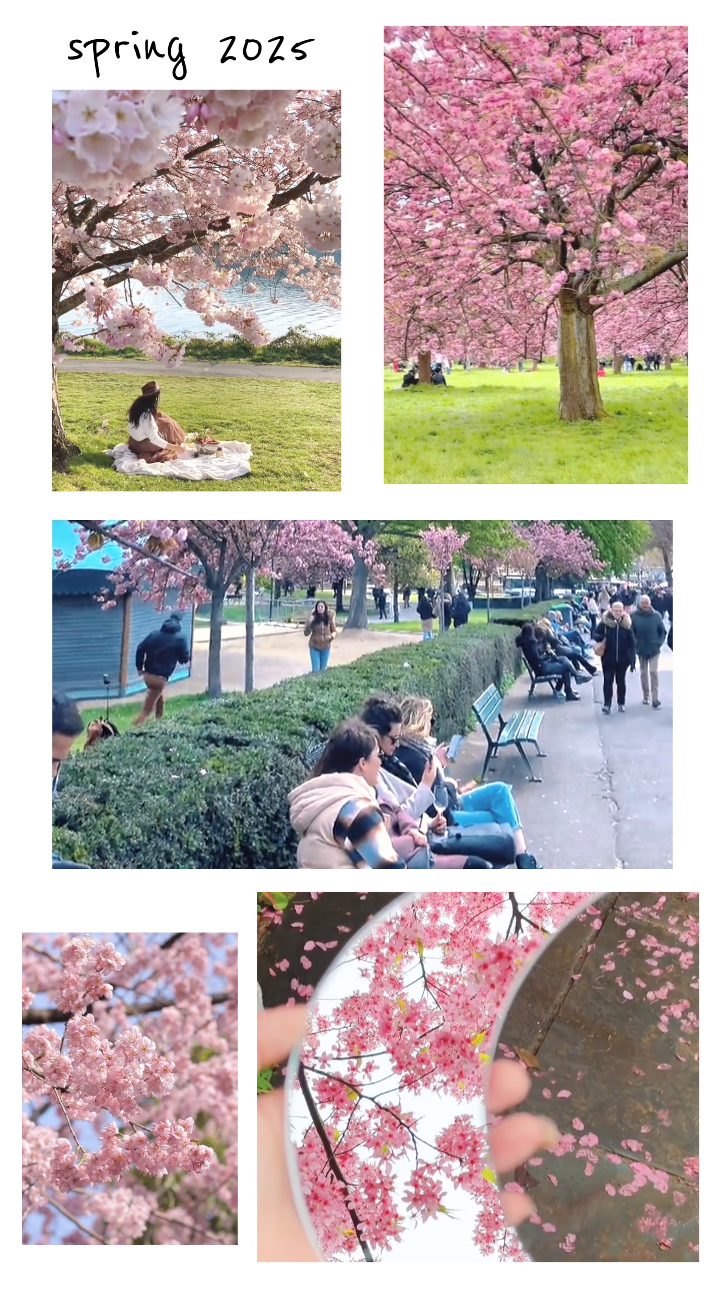 Frühling2025