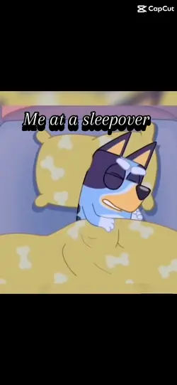 Sleepovers 🙄🙄