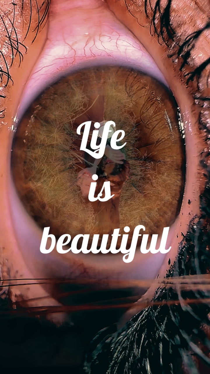 Life is beautiful 