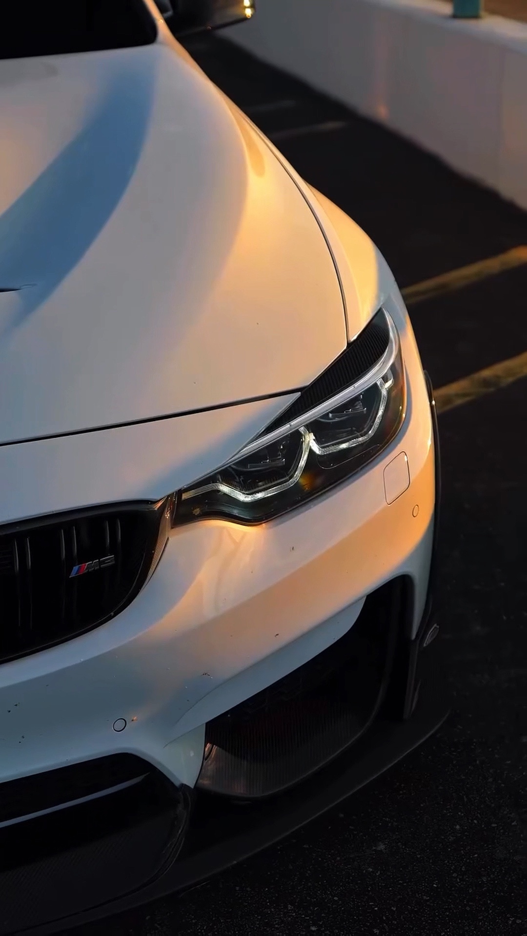 BMW | | PLANTILLA SUPERIOR>