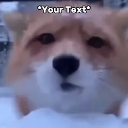 Fox Meme