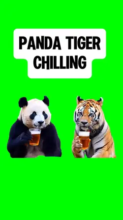 PANDA TIGER CHILLING