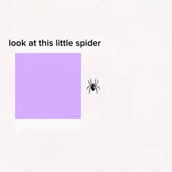 Look at the spider