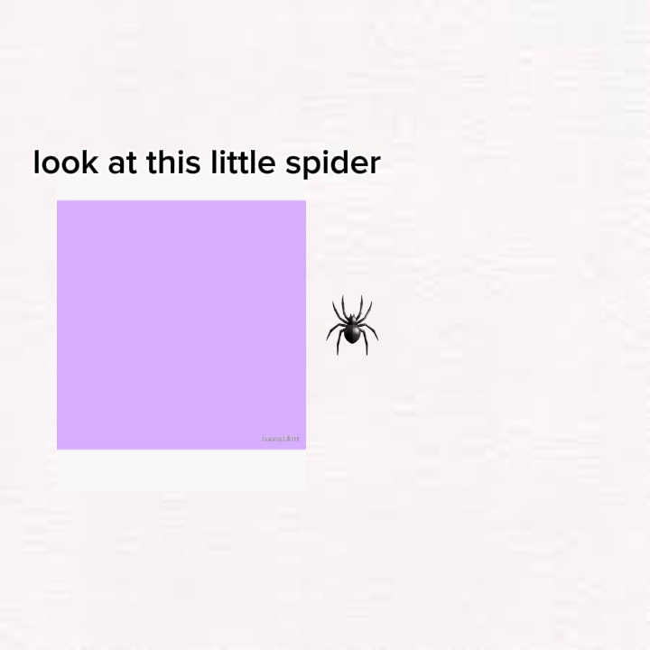 Schau dir die Spinne an