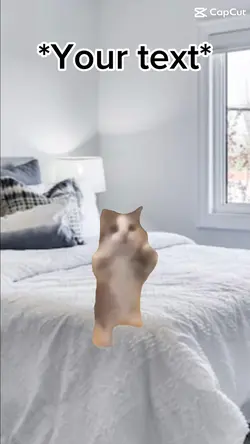 Happy cat!