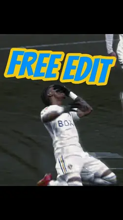 Summerville Free 