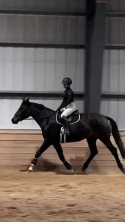 ⚠️NOT REAL⚠️ | 