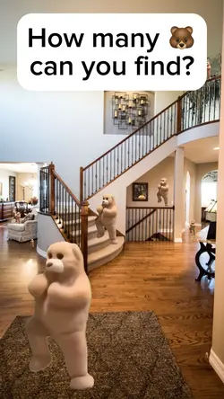 How many can u find?