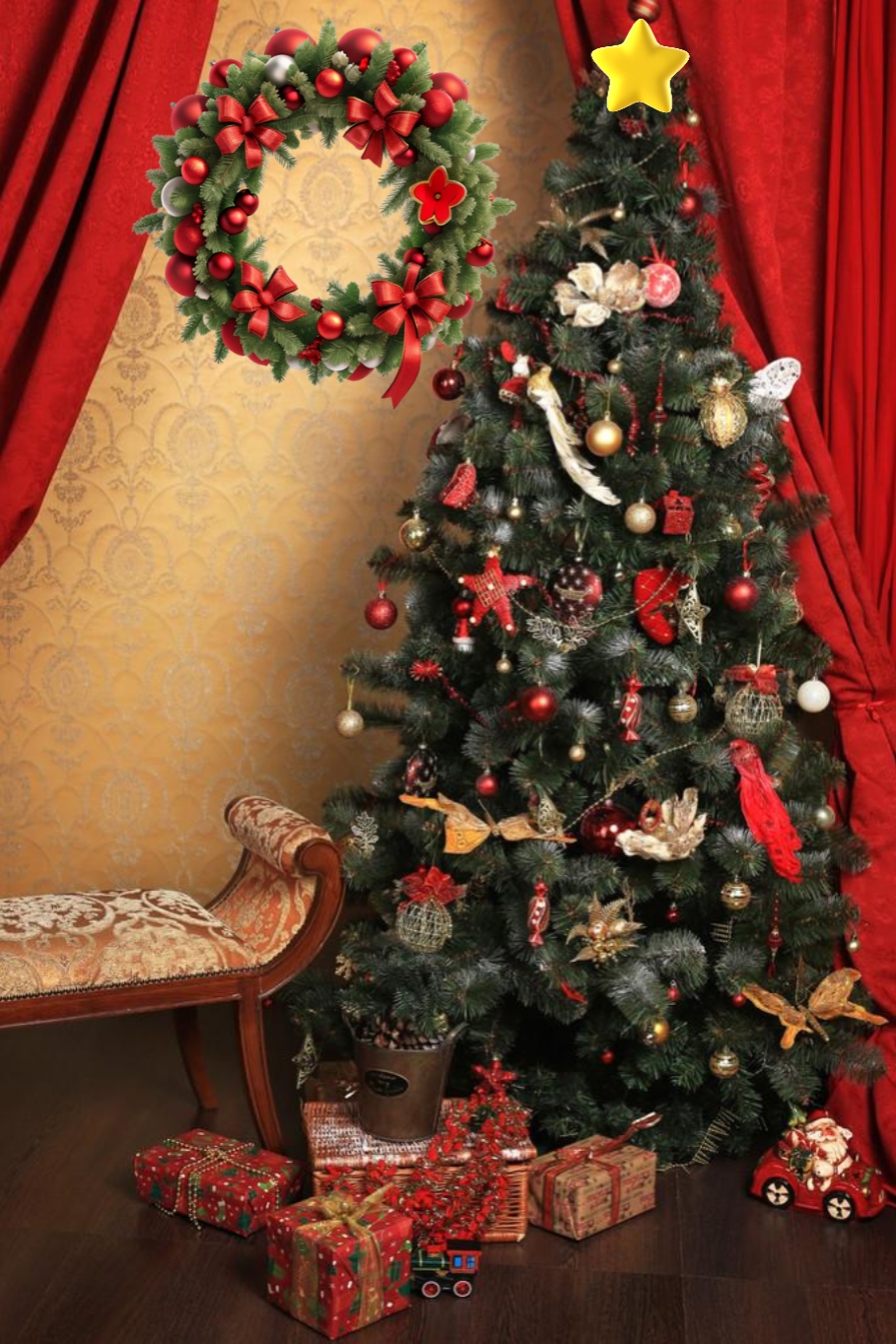 jolly chair