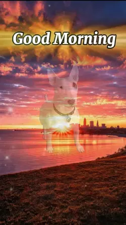 Good Morning