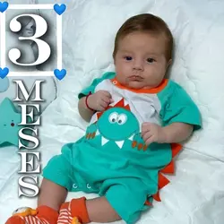 3 meses 