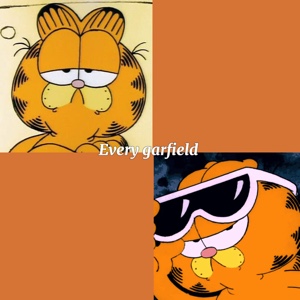 Every garfield needs