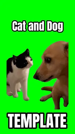 Cat and Dog Meme