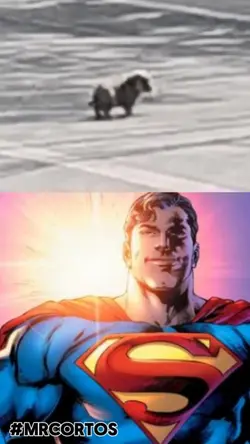 SUPERMAN PL5