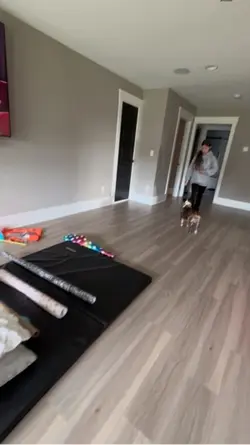 He flew