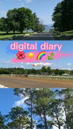 Digital Diary πΈ