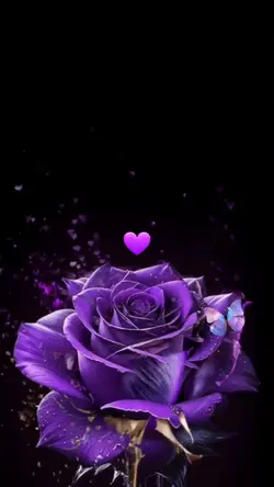 Purple Rose