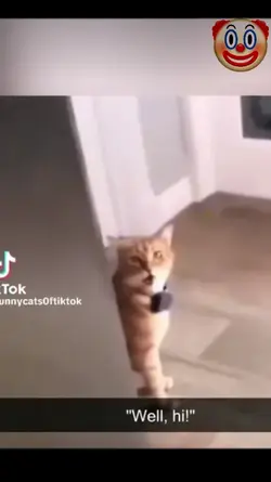 cats can talk 2.0