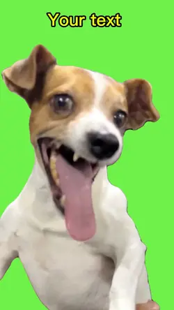 Laughing 