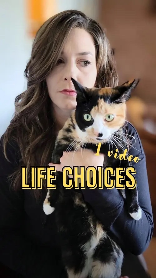 Life Choice 
