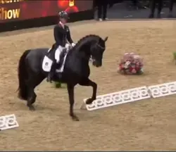 All the pretty girls