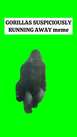 GORILLAS RUNNING 