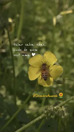 Setembro Amarelo