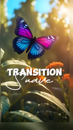 Transition 