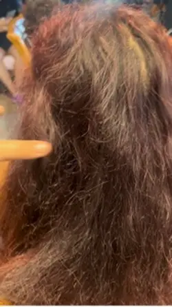 6 Braidz Into Bun