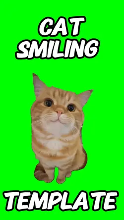 Cat smiling meme 