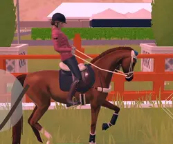Dressage!
