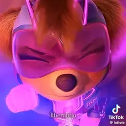 Sky PawPatrol Edit