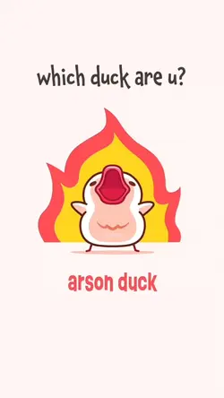 what duck are you