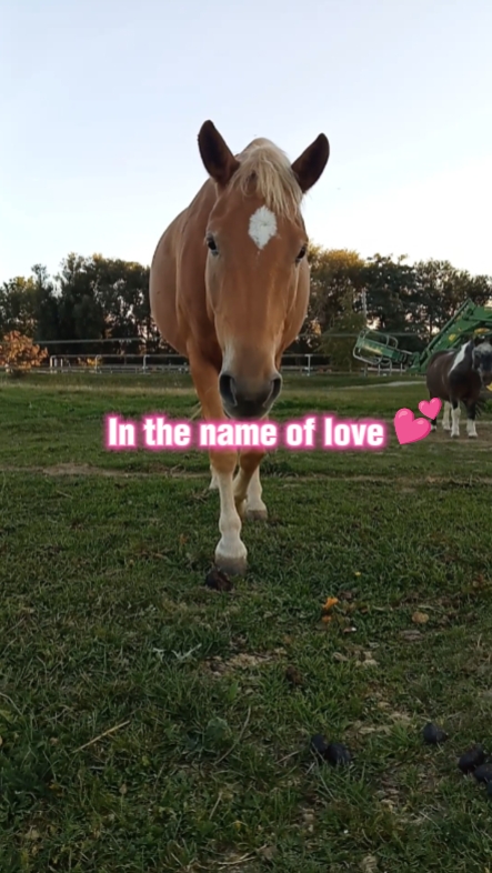 In the name of love~