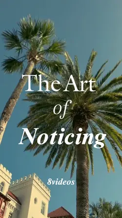 The art of noticing
