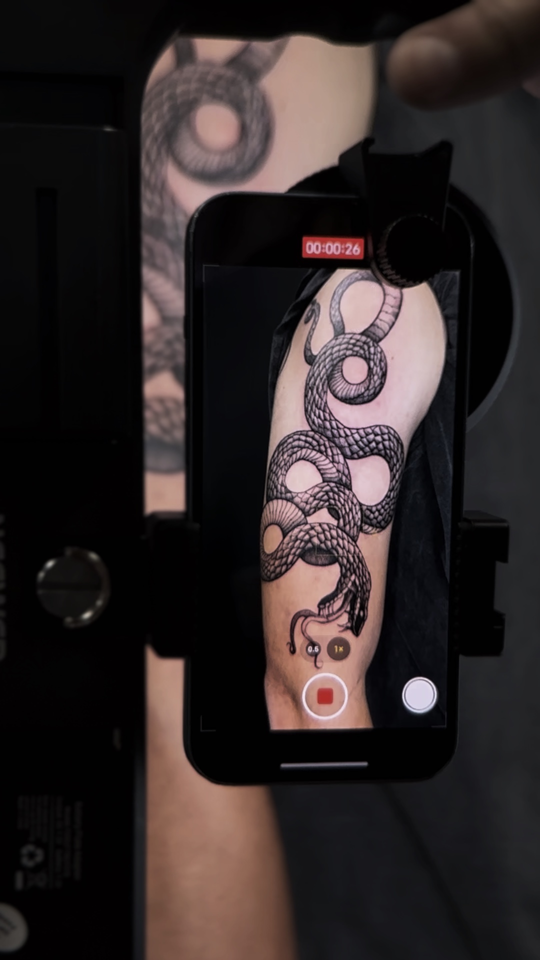 Tatuagem de cobra