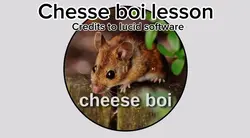 CHEESE BOIS