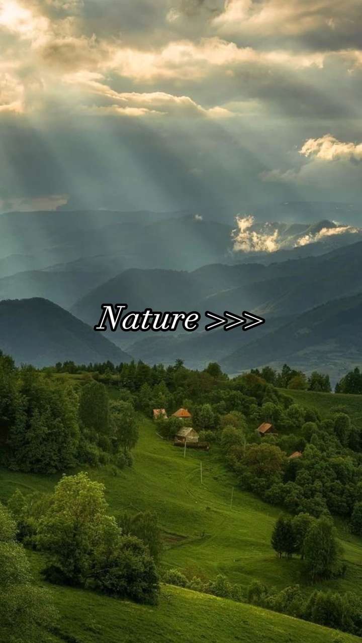 Natureza Estética 