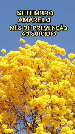 SETEMBRO AMARELO