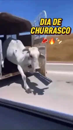 Meme Churrasco 